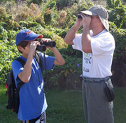 Social Media Bird Watchers