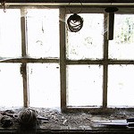 4 Glaring Mistakes Small Business Website Owners Need to Fix website-promotion